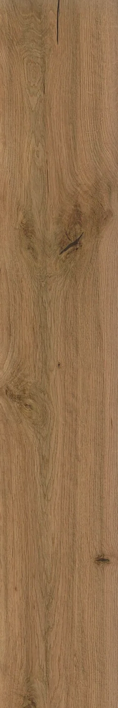 Atlas Concorde Log Deep Oak 20x120 cm – Feinsteinzeug in Holzoptik mit warmer Eichenmaserung, matte Oberfläche, Frontansicht