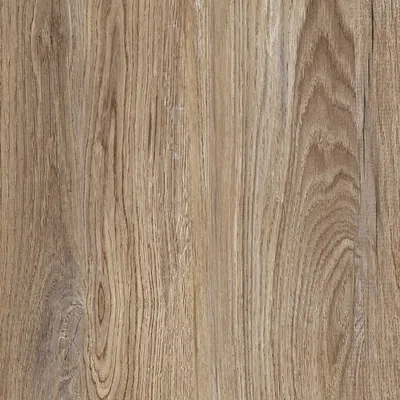 Eichen-Holzoptik mit warmer Maserung der Woodland-Serie von Castelvetro.