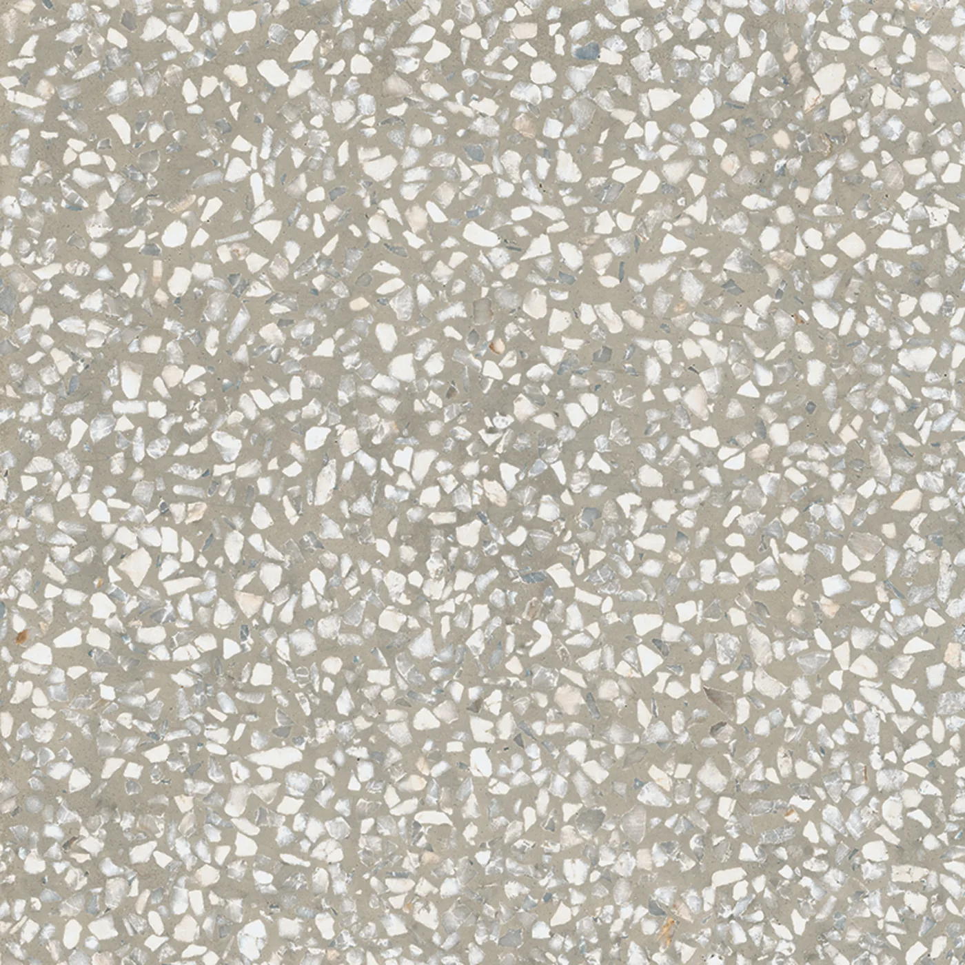 Hellgraue Terrazzo-Fliese 20x20 cm, kühler hellgrauer Grund mit vielen weißen Splittern und feinen bläulichen Körnern.