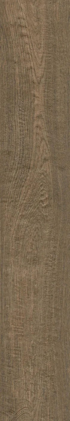 Diele 20×120 cm hochkant in mittelbrauner Eichenoptik, matte Grip-Oberfläche, sichtbare Maserung, weißer Hintergrund.