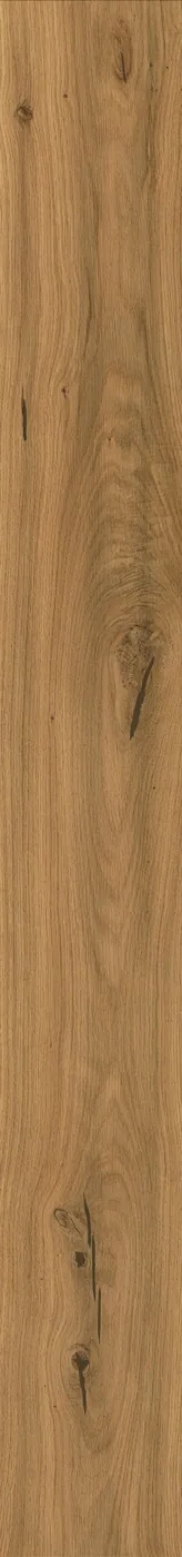 Atlas Concorde Log Amber Oak Forest 20x180 cm – Feinsteinzeug in Holzoptik mit warmer Eichenmaserung