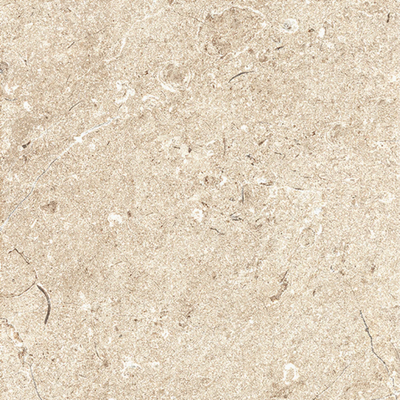 Beige Fliese in Kalksteinoptik, 15x15 cm, matte Oberfläche mit fossilen Einschlüssen und feinen hellen Adern.