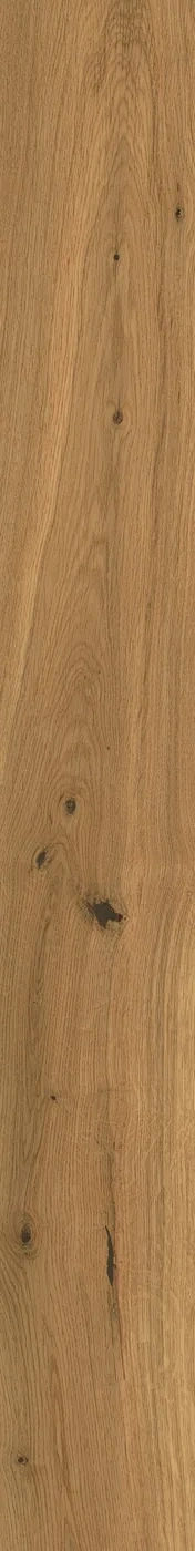 Atlas Concorde Log Amber Oak Forest 18,5x150 cm – Feinsteinzeug in Holzoptik mit warmer Eichenmaserung