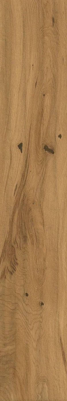 Atlas Concorde Log Amber Oak Forest 20x120 cm – Feinsteinzeug in Holzoptik mit warmer Eichenmaserung