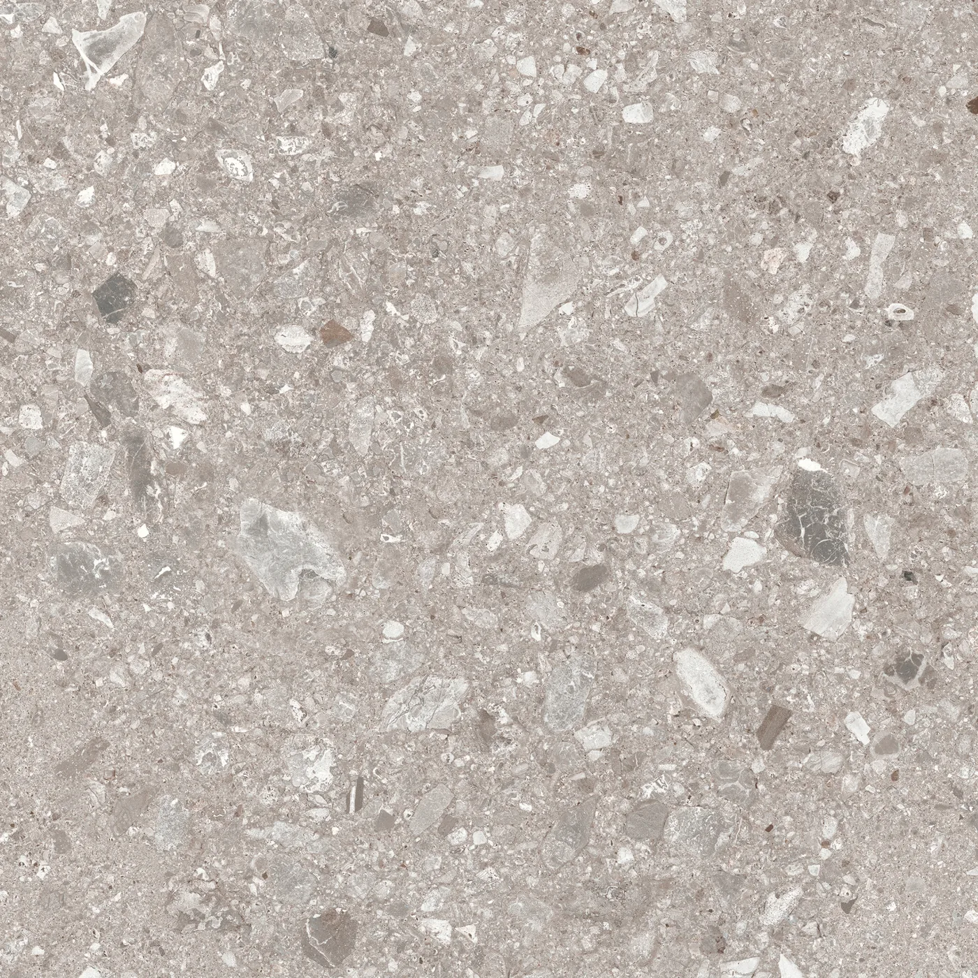 Graubeige Fliese in Konglomerat-Steinoptik, 60x60 cm, matte Oberfläche, mit hellen und dunklen Gesteinsbrocken.