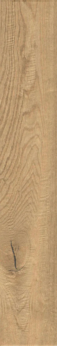 Diele 20×120 cm hochkant in heller Honig-Eichenoptik, matte Oberfläche, sichtbare Maserung, weißer Hintergrund.
