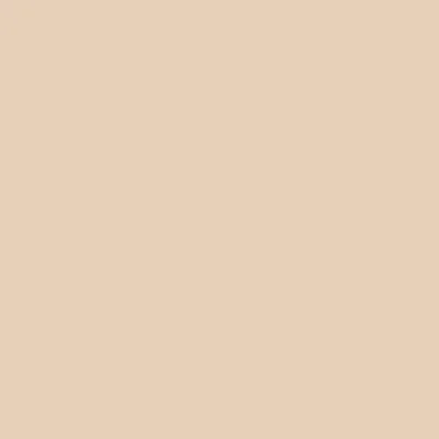 Quadratischer Farbfleck der Codex-Standardfarbe Sandbeige fuer den Variantenauswahl-Picker.