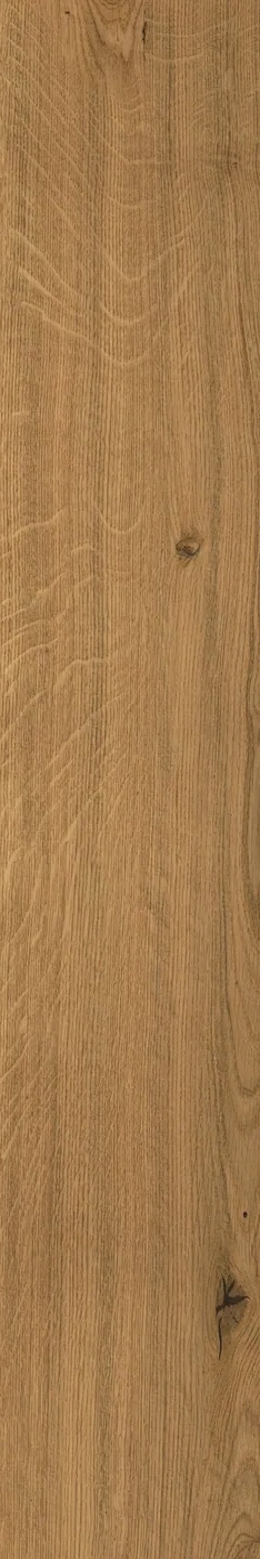 Atlas Concorde Log Amber Oak Forest 20x120 cm – Feinsteinzeug in Holzoptik mit warmer Eichenmaserung