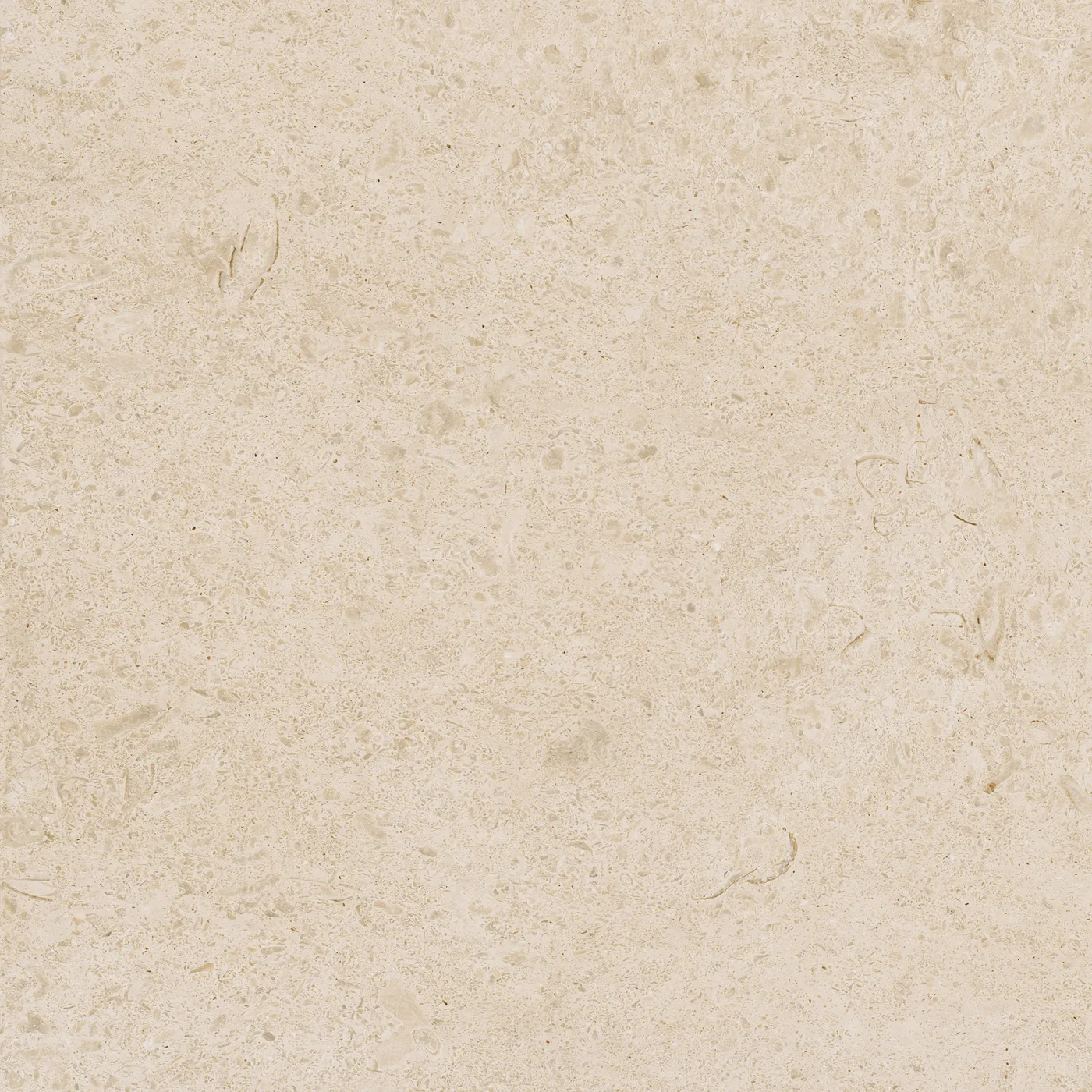 Sandbeige Fliese 60×60 cm in Kalksteinoptik mit feinen helleren Einschlüssen und dezent gewolkter Oberfläche.