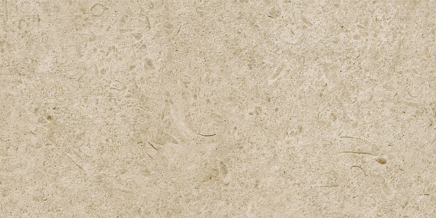 Greigefarbene Fliese 30×60 cm in Kalksteinoptik mit fossilartigen Einschlüssen und leicht gewolkter Oberfläche.