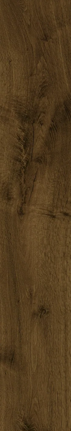 Dunkelbraune Holzoptik-Fliese 20×120 cm, matt, mit ausdrucksstarker Eichenmaserung und warmen Astzeichnungen.