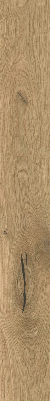 Atlas Concorde Log Icon Oak Forest 18,5x150 cm – Feinsteinzeug in Holzoptik mit warmer Eichenmaserung