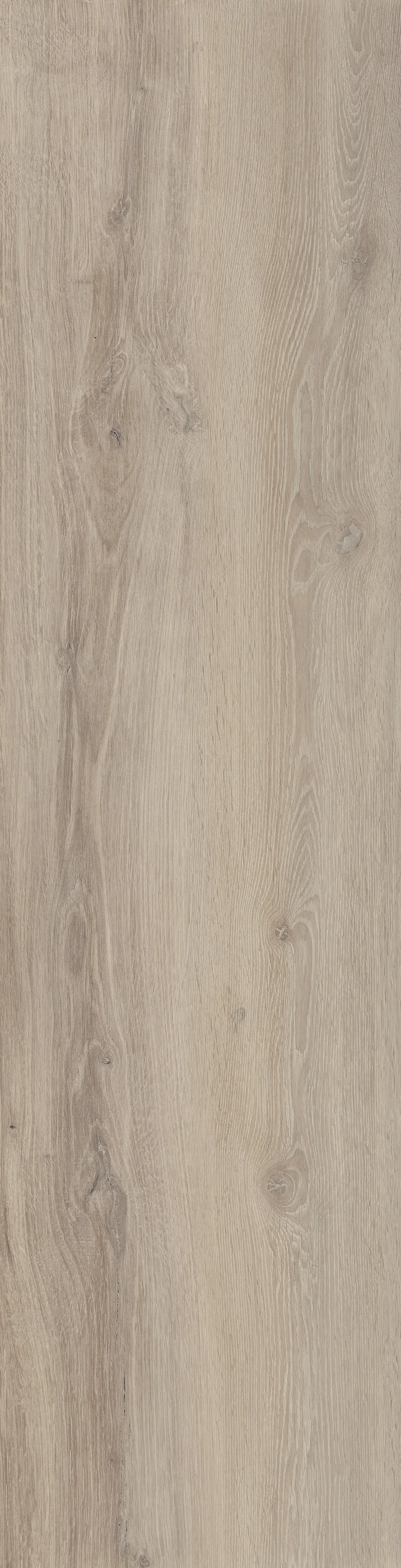 Castelvetro Woodland Maple 30x120 cm