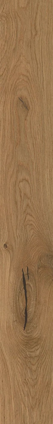 Atlas Concorde Log Deep Oak Forest 18,5x150 cm – Feinsteinzeug in Holzoptik mit warmer Eichenmaserung