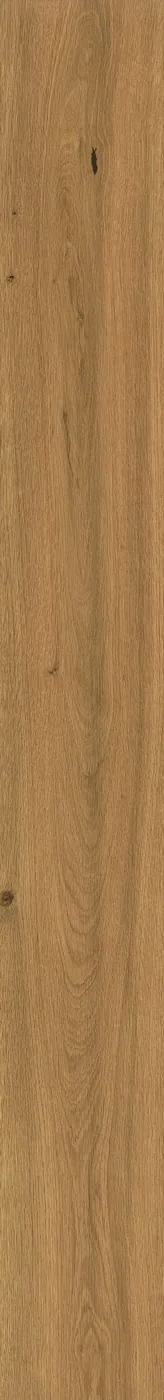 Atlas Concorde Log Amber Oak 20x180 cm – Feinsteinzeug in Holzoptik mit warmer Eichenmaserung, matte Oberfläche, Frontansicht