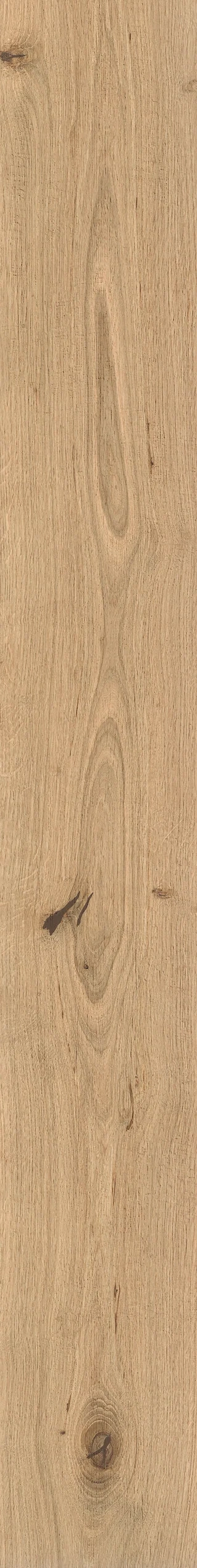 Atlas Concorde Log Icon Oak 18,5x150 cm – Holzoptik-Feinsteinzeug, warme Eichenmaserung in matter Oberfläche