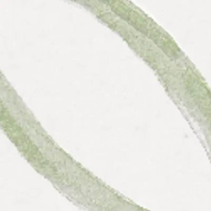 Weiße Wandfliese mit salbei-grünen Aquarell-Pinselbögen in handgemalt wirkendem Tusche-Stil.