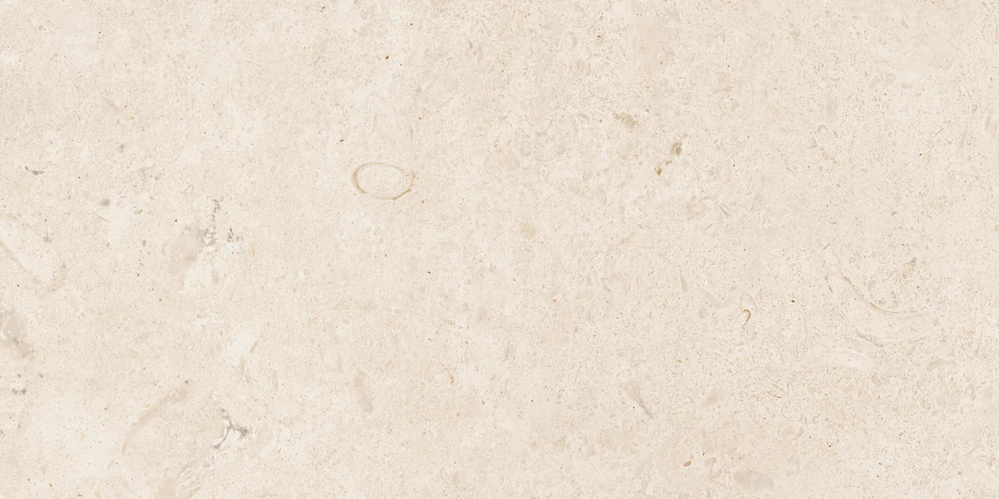 Cremeweiße Fliese 30×60 cm in Kalksteinoptik mit feiner, gleichmäßiger Körnung und wenigen hellen Einschlüssen.