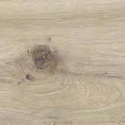 Vorschau Rovere Naturale der Treverklife-Serie von Marazzi.