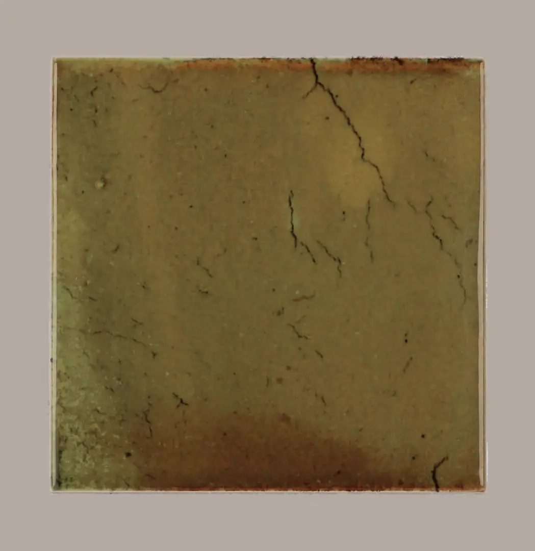 Hanoi Wandfliese in Wild Olive Glasur, Format 10x10 cm, Studio Aufnahme frontal vor weißem Hintergrund.