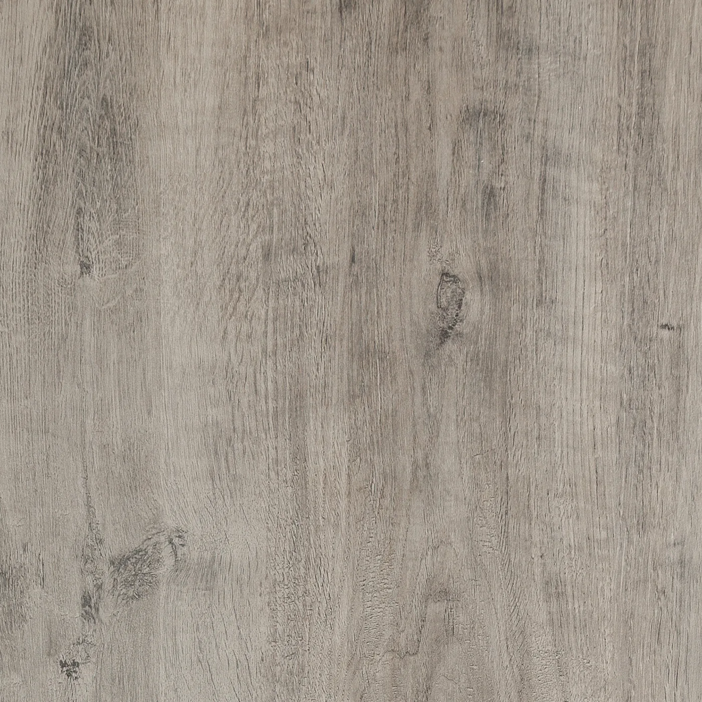 Marazzi Treverkhome20 Frassino: Terrassenplatte 60x60 cm in Holzoptik, aschgraue Maserung mit dunklen Astaugen, 20 mm stark