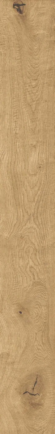 Lange Diele 22,5×180 cm hochkant in heller Honig-Eichenoptik, matte Oberfläche, sichtbare Maserung, weißer Hintergrund.