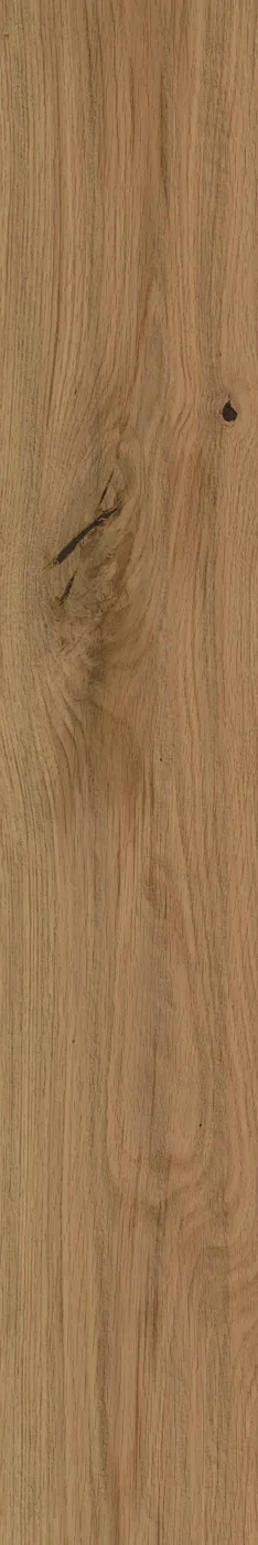 Atlas Concorde Log Deep Oak Forest 20x120 cm – Feinsteinzeug in Holzoptik mit warmer Eichenmaserung