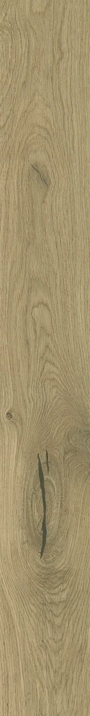Atlas Concorde Log Moon Oak Forest 18,5x150 cm – Feinsteinzeug in Holzoptik mit warmer Eichenmaserung