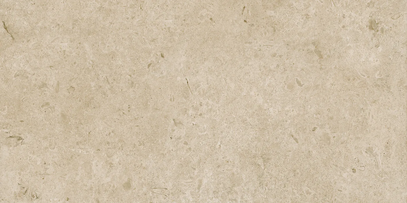 Greigefarbene Fliese 60×120 cm in Kalksteinoptik mit fossilartigen Einschlüssen und leicht gewolkter Oberfläche.