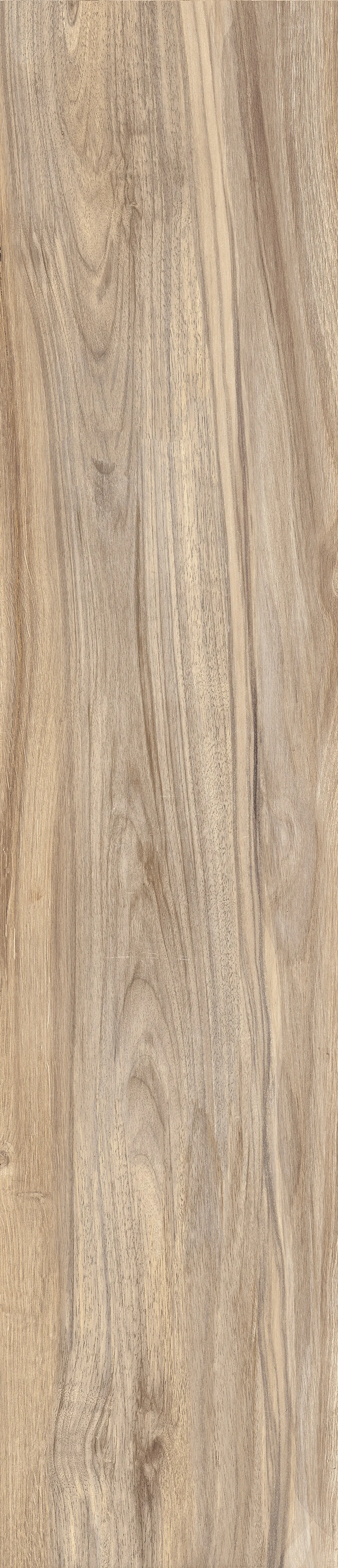 Castelvetro Woodland Elm - 20x120 cm