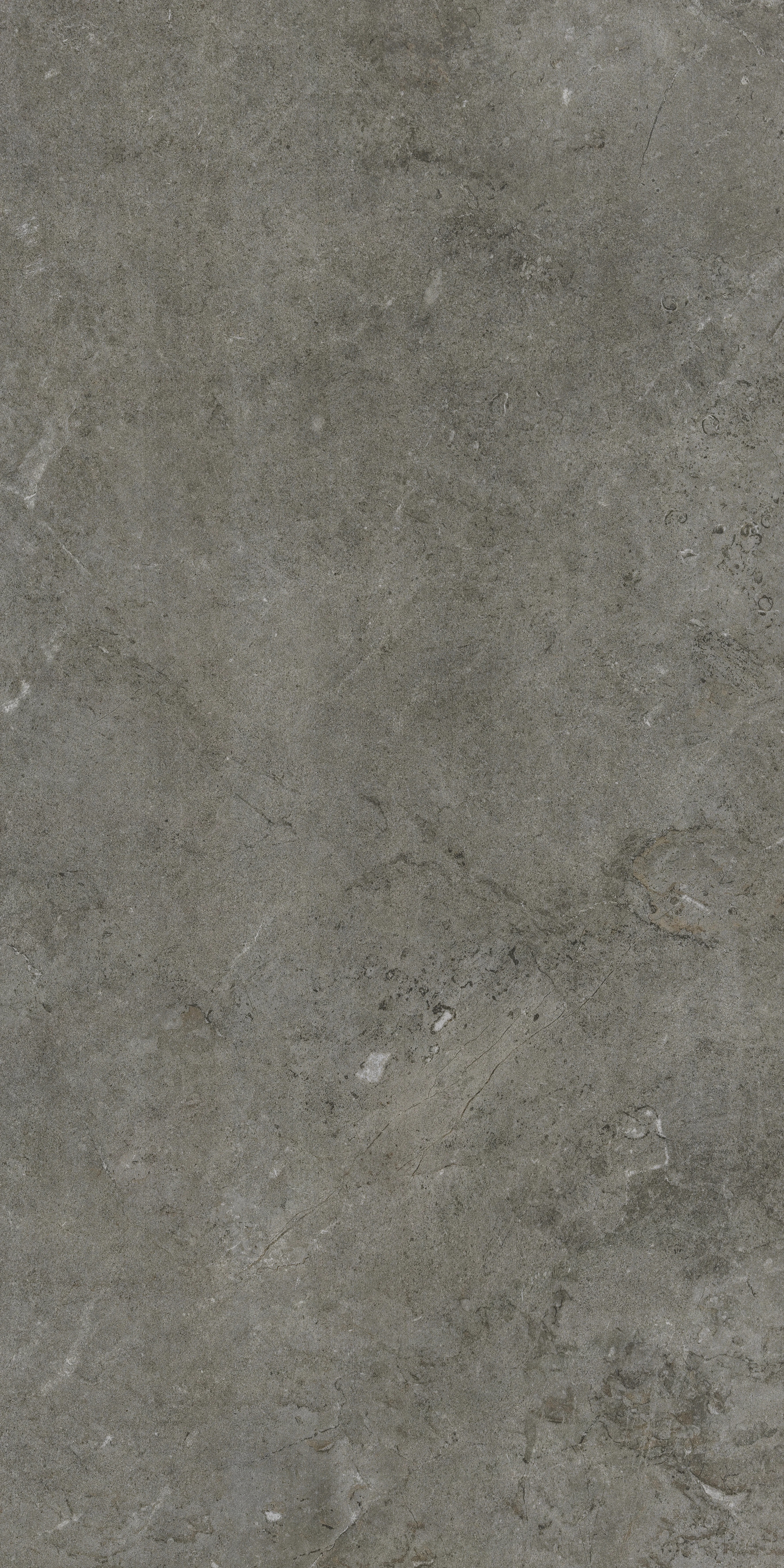 R.A.K. Baltico grey - 60x120 cm | 20 mm