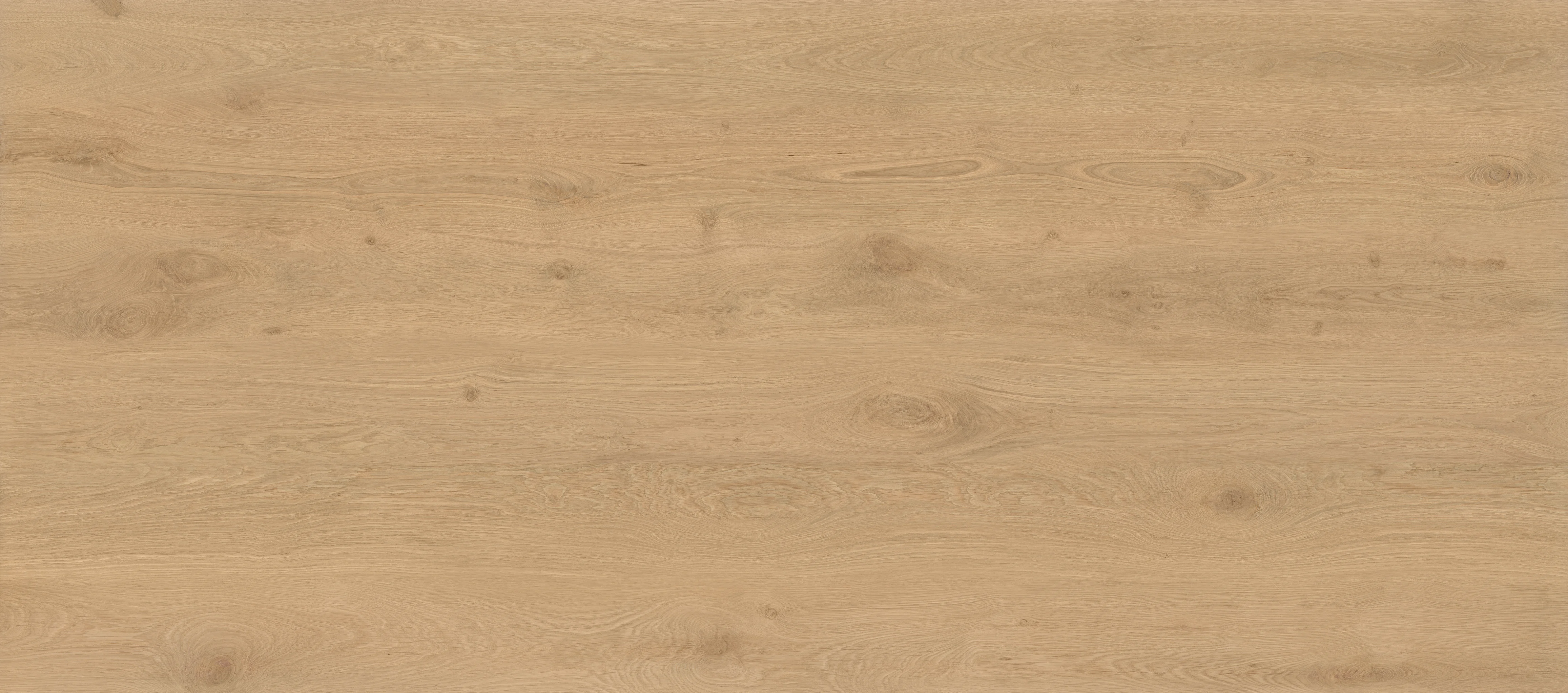 Atlas Concorde Log Icon Oak Holzoptik-Fliese 120x278 cm Matt, Frontalansicht