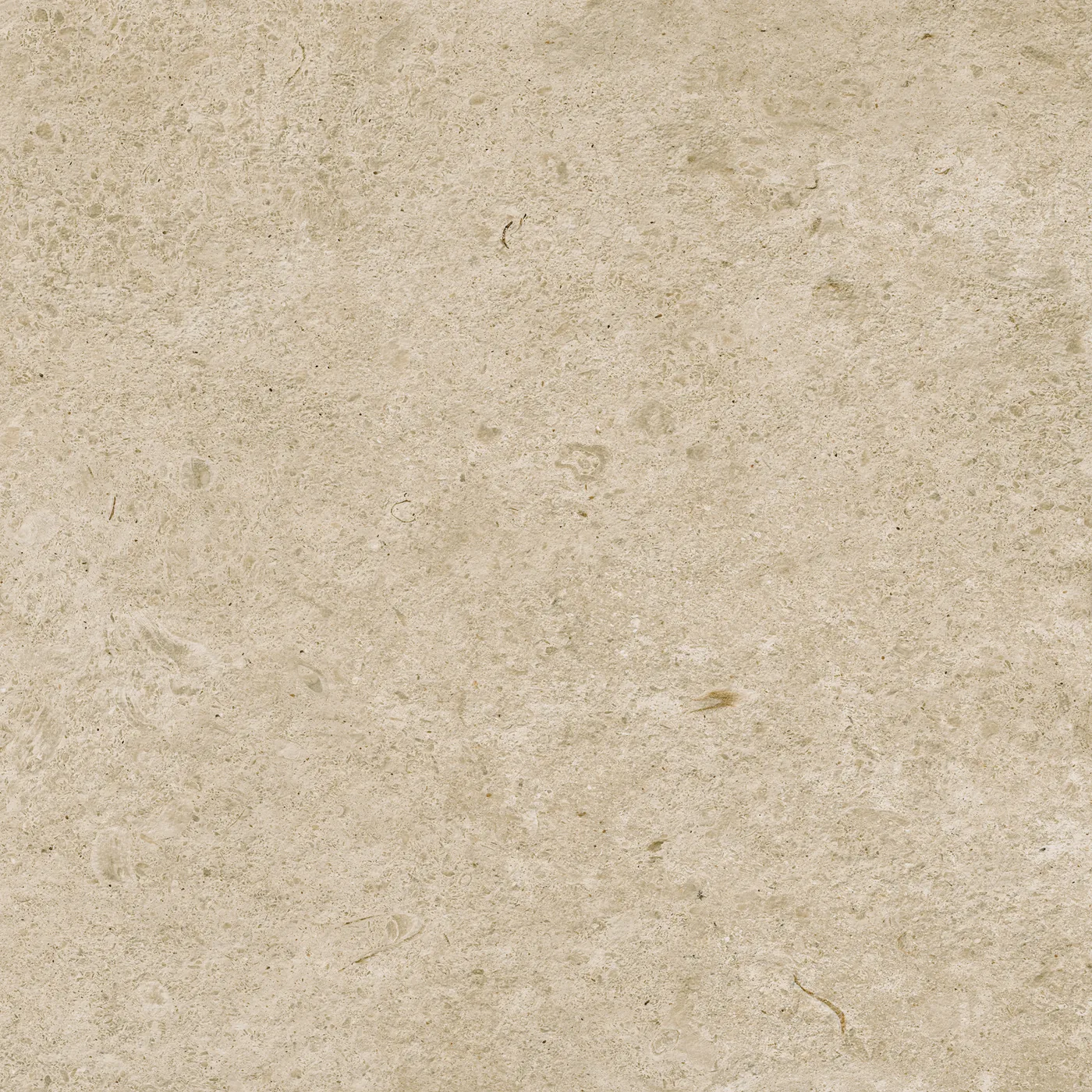 Greigefarbene Fliese 60×60 cm in Kalksteinoptik mit fossilartigen Einschlüssen und leicht gewolkter Oberfläche.