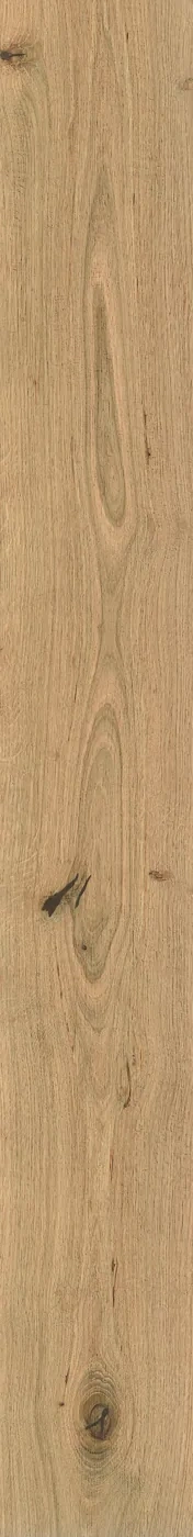 Atlas Concorde Log Icon Oak 18,5x150 cm – Feinsteinzeug in Holzoptik mit warmer Eichenmaserung