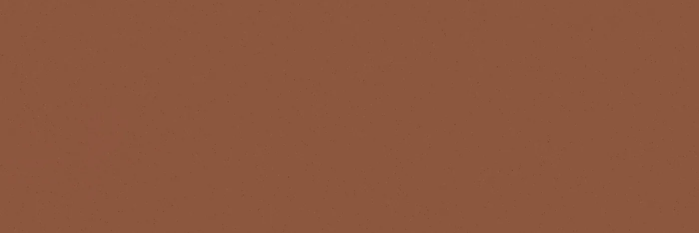 Terrakottafarbene matte Wandfliese 30×90 cm mit gleichmäßiger, ruhiger Oberfläche ohne Muster, frontal aufgenommen.
