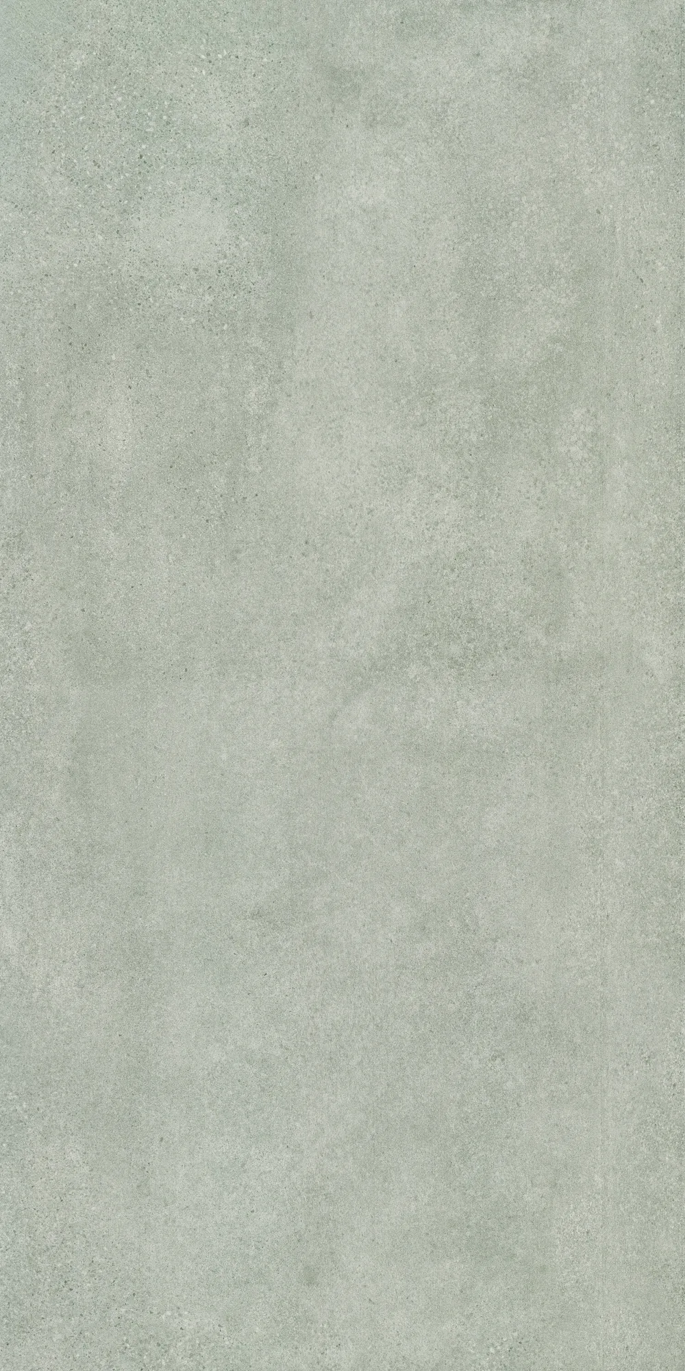 Matte Terrassenplatte 20 mm Paleo in Grau, 60 x 120 cm, mit feiner, steinartiger Struktur und leichter Wolkung.