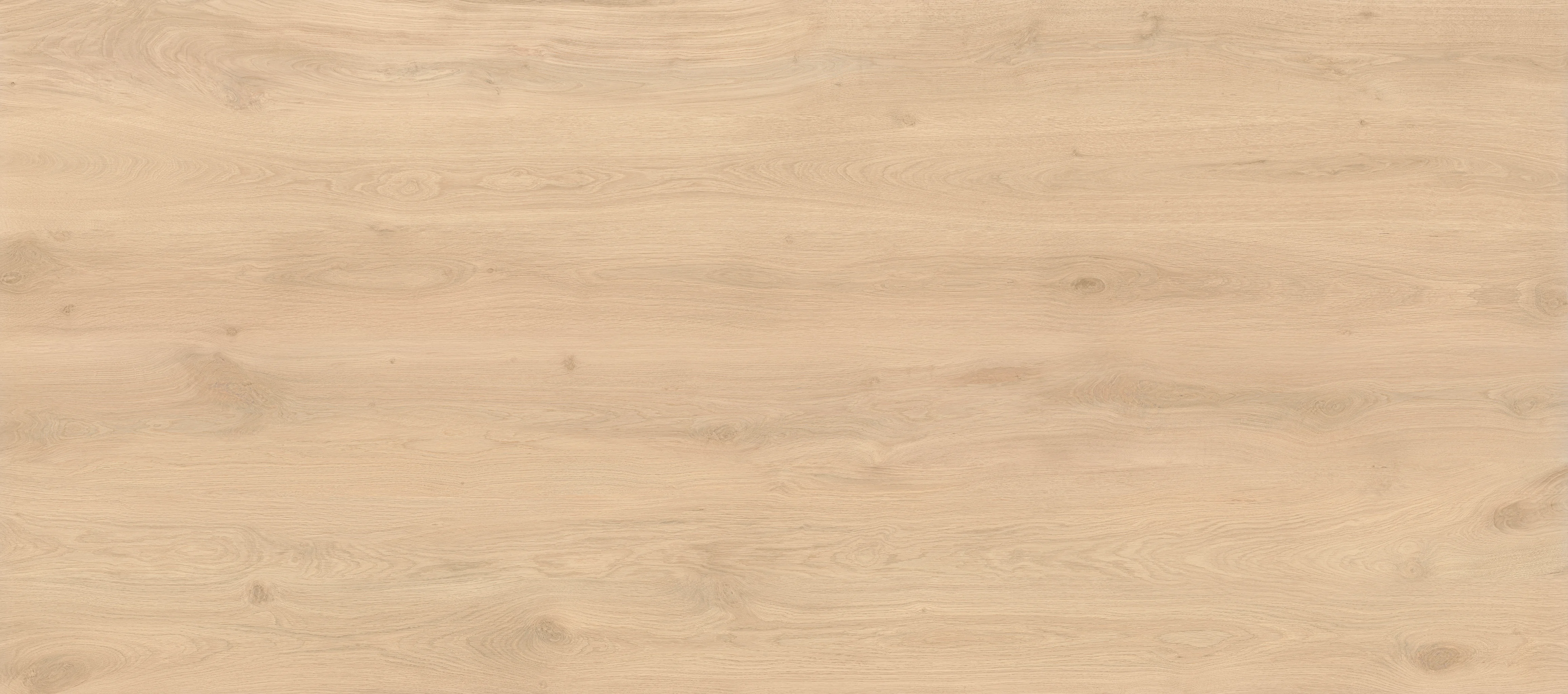 Atlas Concorde Log Bright Oak 120x278 cm Matt, Oberflaechenvariante 2