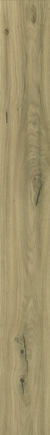 Atlas Concorde Log Moon Oak Forest 20x180 cm – Feinsteinzeug in Holzoptik mit warmer Eichenmaserung