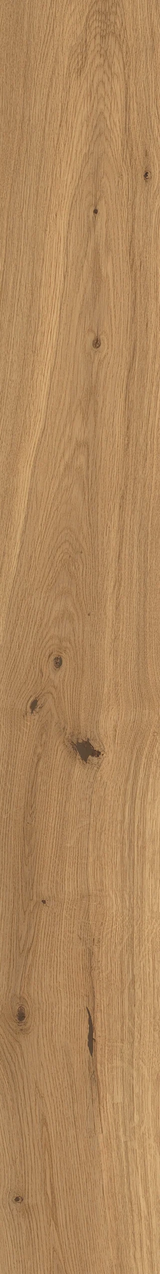 Atlas Concorde Log Amber Oak Forest 18,5x150 cm – Holzoptik-Feinsteinzeug, warme Eichenmaserung in matter Oberfläche
