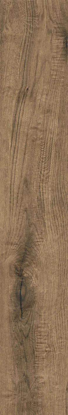 Diele 20×120 cm hochkant in mittelbrauner Eichenoptik mit Grauton, matte Oberfläche, sichtbare Maserung, weißer Hintergrund.