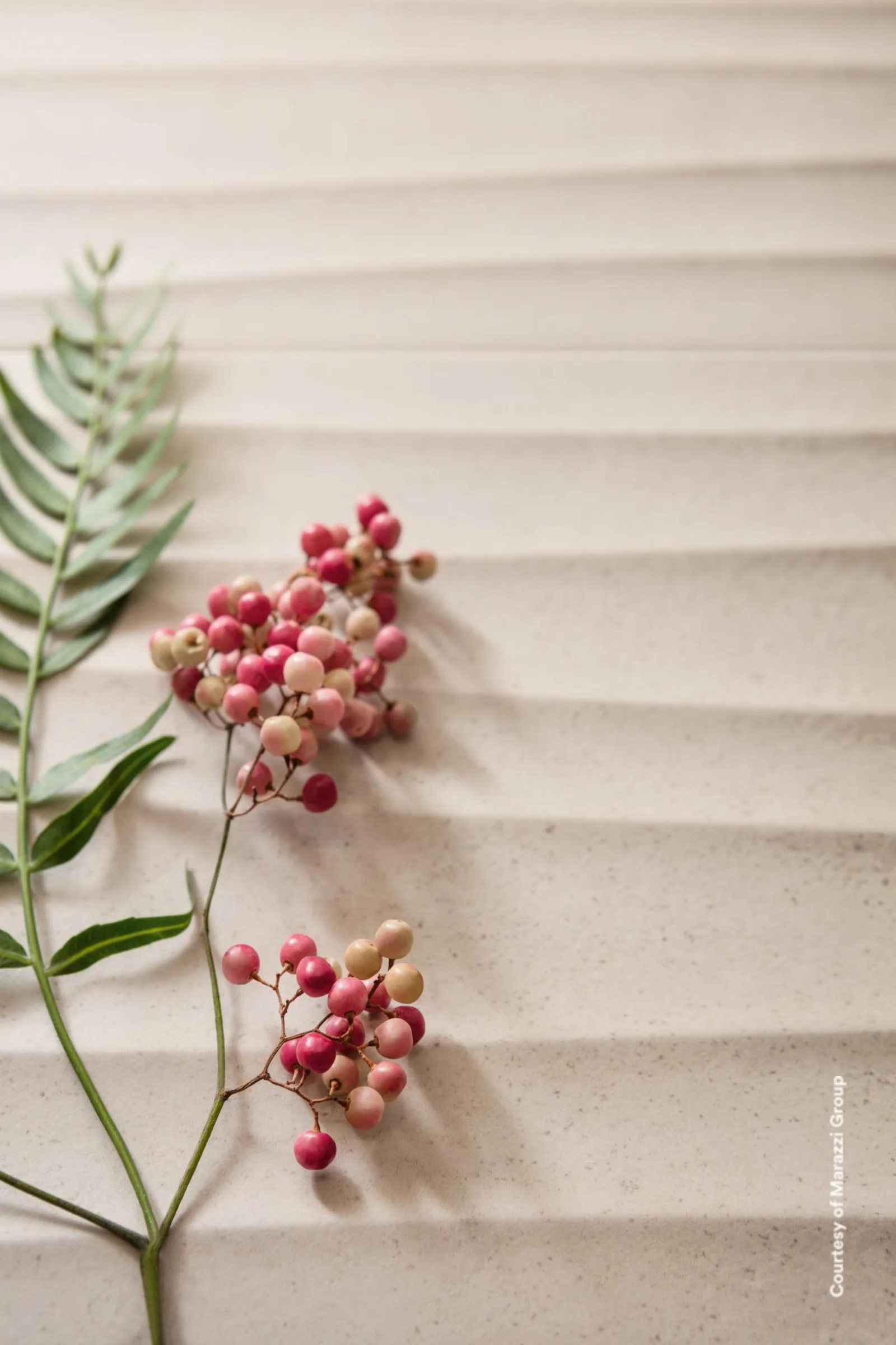 Zweig mit rosa Beeren vor einer cremefarbenen Wandfläche mit waagerechtem Wellenrelief.