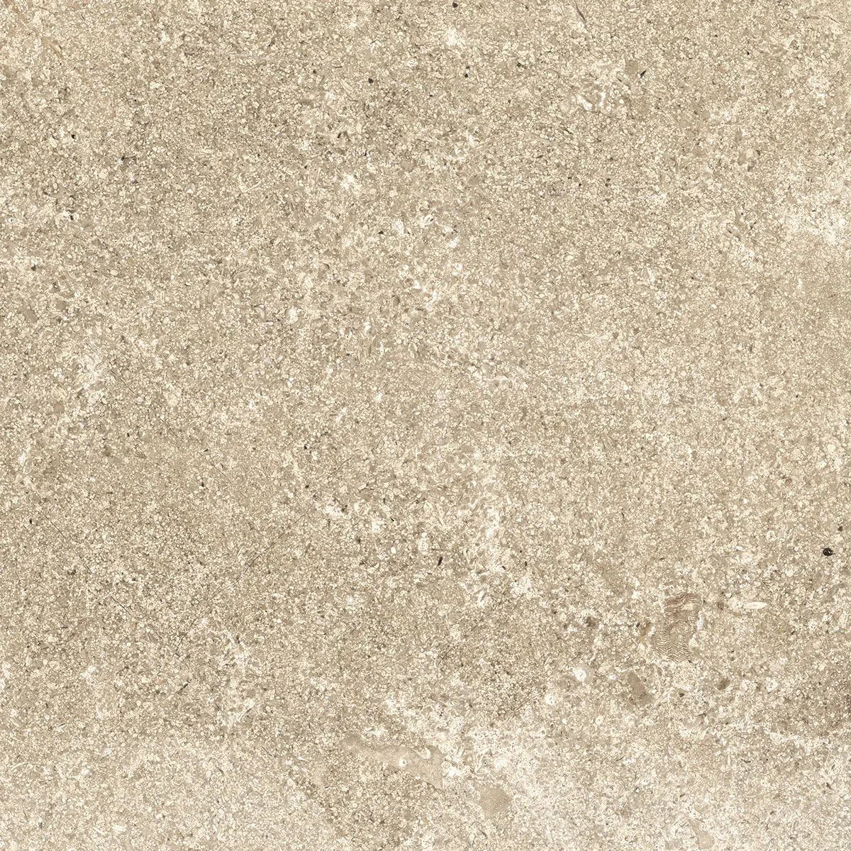 Sandbeige Steinoptik-Fliese 50×50 cm, matte rutschhemmende Oberfläche mit feinen Einschlüssen und zarten hellen Adern.