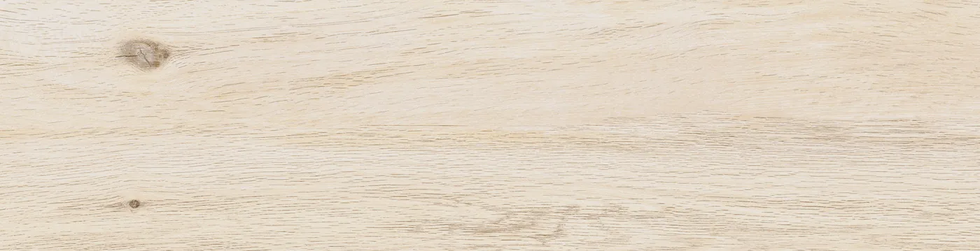 Sehr helle, cremeweiße Holzoptik-Fliese 15,5x60,5 cm mit feiner Eichenmaserung und kleinem Astknoten links oben.
