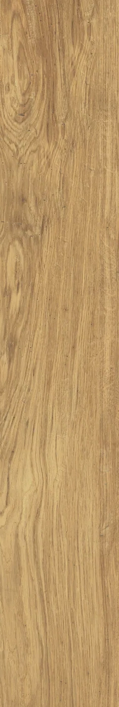 Fliese in Holzoptik Honey 14,5x90 cm, honiggoldene Eiche mit lebhafter Maserung und kleinen Astbildern