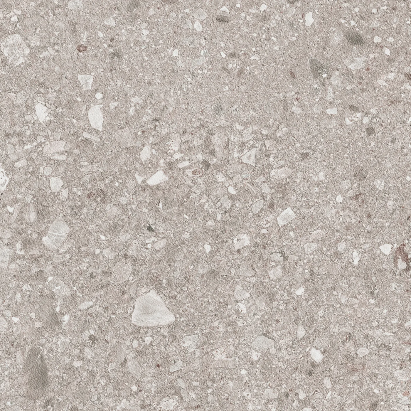 Graubeige Terrassenplatte in Konglomerat-Steinoptik, 80x80 cm, strukturierte Oberfläche, mit eingestreuten Gesteinsbrocken.