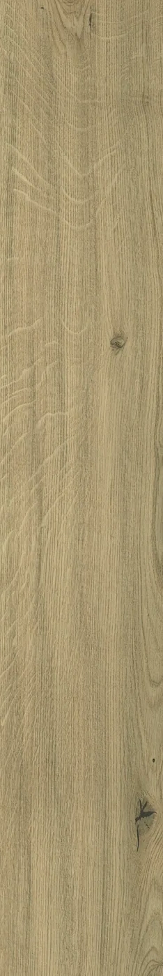 Atlas Concorde Log Moon Oak Forest 20x120 cm – Feinsteinzeug in Holzoptik mit warmer Eichenmaserung