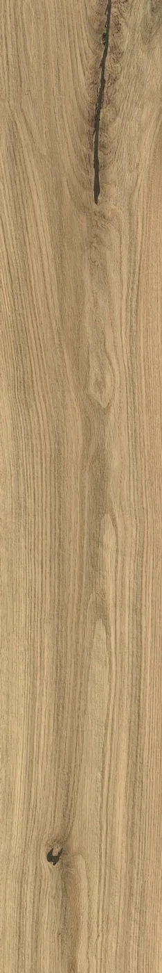 Atlas Concorde Log Icon Oak Forest 20x120 cm – Feinsteinzeug in Holzoptik mit warmer Eichenmaserung