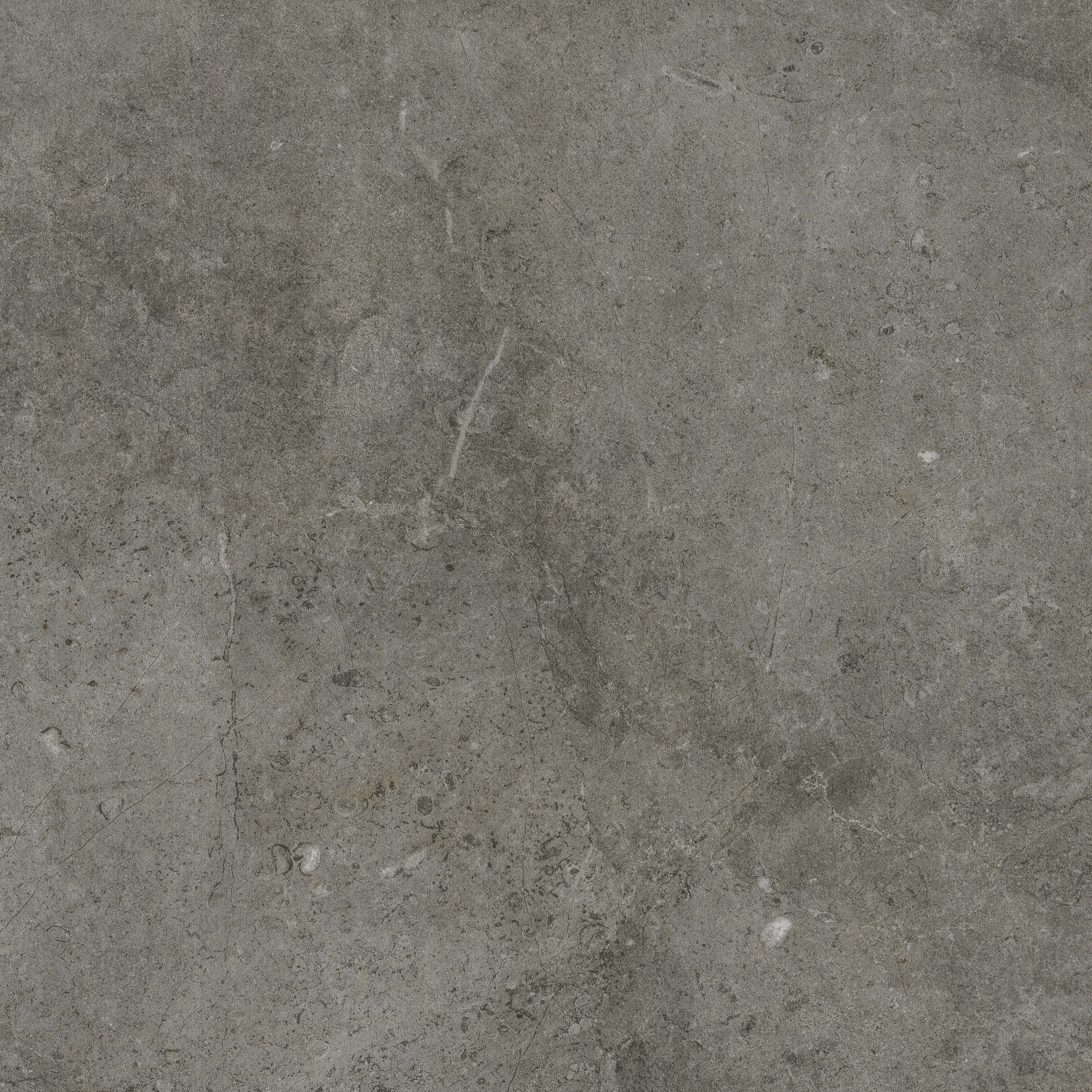 R.A.K. Baltico grey - 80x80 cm | 20 mm