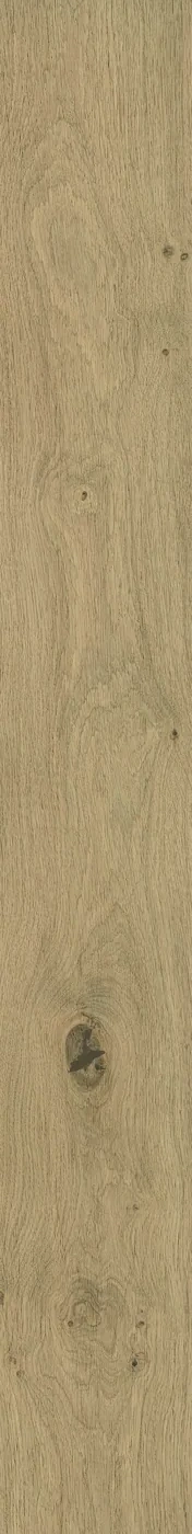 Atlas Concorde Log Moon Oak 18,5x150 cm – Feinsteinzeug in Holzoptik mit warmer Eichenmaserung